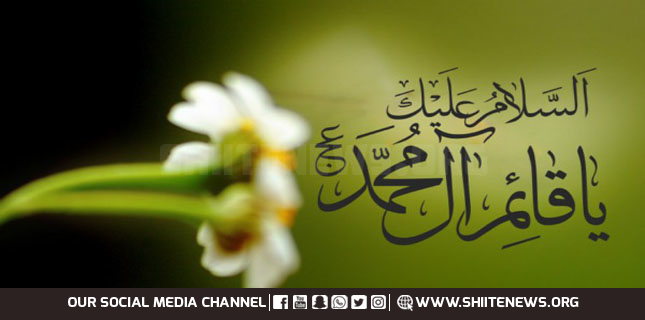 Imam Mehdi birthday