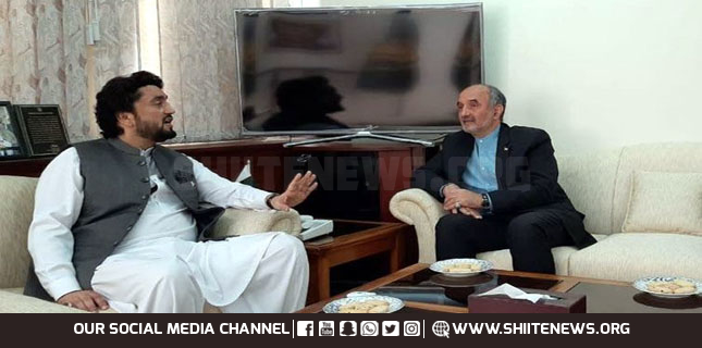 Pakistan and Iran will work together for regional peace: Minister