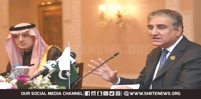 Shah Mehmood Qureshi praises Zaireen