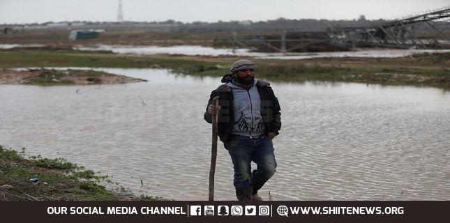 Palestinian farmland