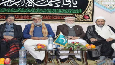 Pakistan Sunni Shia parties alliance