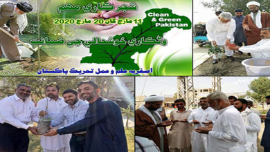 Asgharia AIAT launches tree plantation