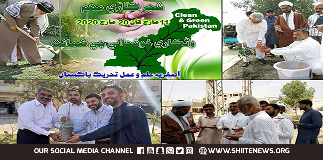 Asgharia AIAT launches tree plantation campaign in Sindh