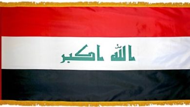 Iraqi Shia factions