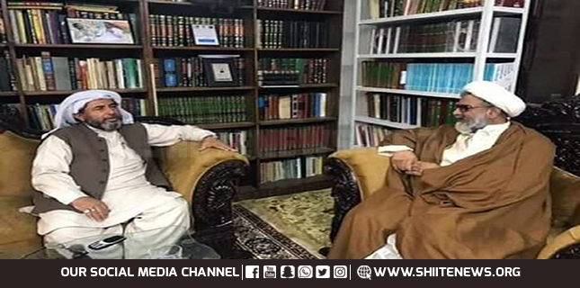 Allama Arif Wahidi meets Allama Raja Nasir Abbas Jafari for consultation