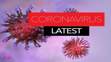 COVID-19 Cases
