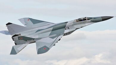 MiG-29 Fighter Jets