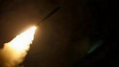 Syrian army’s air defense