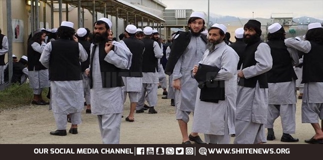 Afghan government has freed 3,000 Taliban prisoners