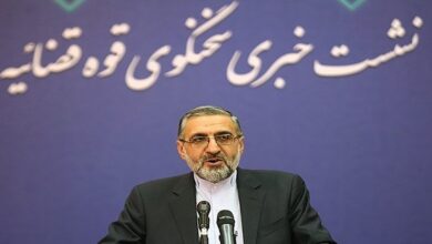 Iranian spy