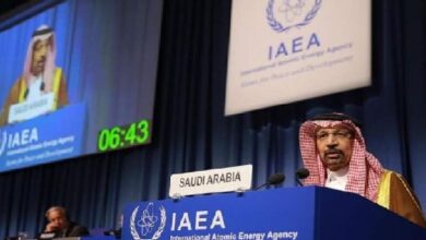 Saudis support IAEA