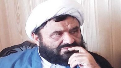 Allama Hameed Imami asks govt
