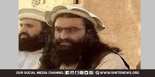 Pakistani Taliban Noor Wali Mehsud designating under UNSC 1267 lauded