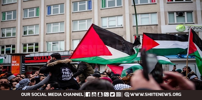 Over 100 French MPs Call for Sanctions against Israel, Recognition of Palestine