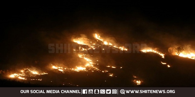 Israeli forces fires phosphorous shells at Lebanon’s southern border