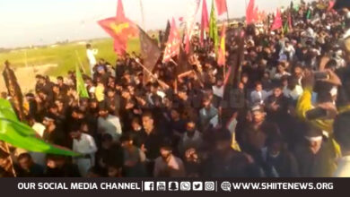 Shia Muslims 14km Arbaeen Walk