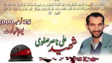 20th anniversary of martyrdom of Ali Nasir Safavi