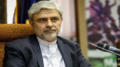 Ambassador Hosseini underlines need