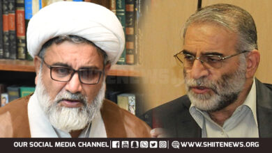 Allama Raja Nasir Abbas Jafari condemns murder of Iranian scientist