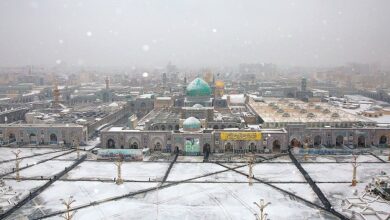 A white night in Imam Ridha’s (A.S) holy shrine+Photos
