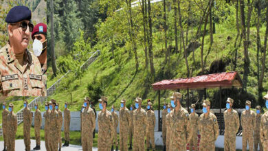 Army Chief and Air Chief visit field exercise area
