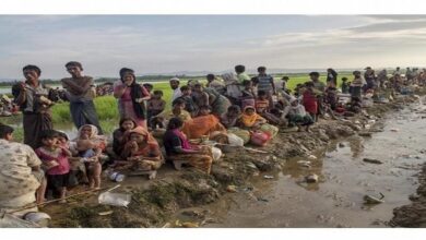 Rohingya