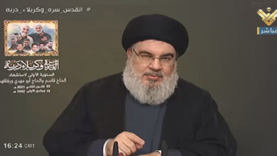 Hasan Nasrallah lauds Iran and Syria support against Israeli aggression