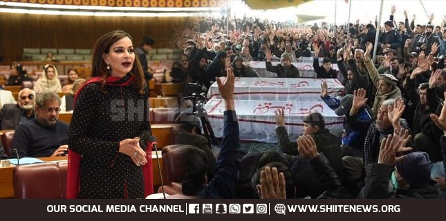 Senate questions govt role after massacre of Hazara Shia coalminers