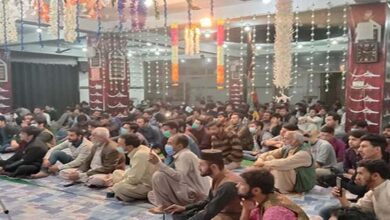 Youth Day observed under the aegis of Imamia Students Organization