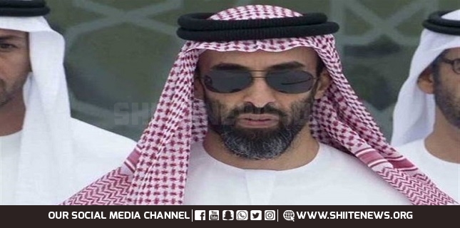 Sheikh Tahnoon bin Zayed al-Nahyan wields power from the shadows