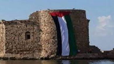 Palestinian Flag Raised over Sidon Sea Castle