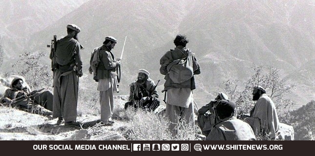 Mufti Khalid, central leader of TTP political council killed in Afghanistan