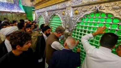 Shah Mehmood Qureshi in najaf