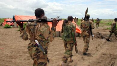 At least 30, including 13 civilians, killed in al-Shabab attack in Somalia