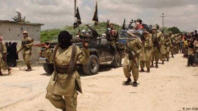 Somali military claims killing 50 al-Shabaab terrorists