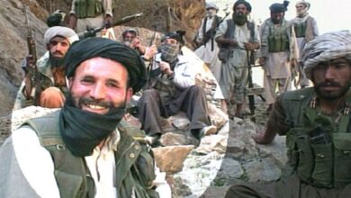 Senior Taliban cmdr. killed in Herat