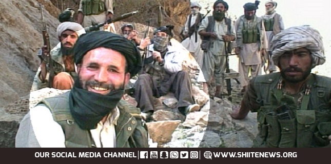 Senior Taliban cmdr. killed in Herat