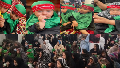 International Ali-Asghar Day observed in Pakistan, Millions of infants participate