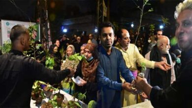 Unique Majlis-e-Aza, Plants divided among Shia-Sunni mourners
