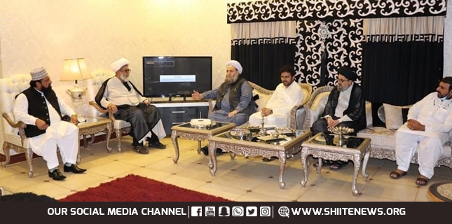 Federal Minister Pir Noor-ul-Haq meets with MWM Chief Allama Raja Nasir Abbas