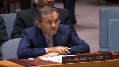 Iran: UN Security Council must force Israel to end aggression against Syria