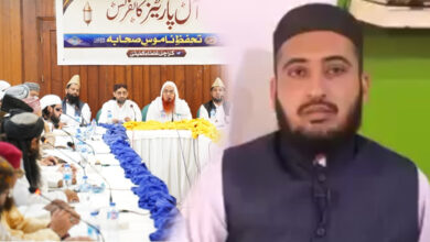 Ahle Sunnah Mufti Fazal Hamdard denounce Pro Banu Ummayah Conference