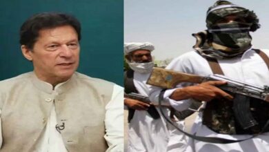 Dual justice of Imran’s rule, amnesty for terrorists, and imprisonment for patriots