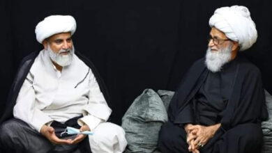 Allama Raja Nasir Abbas meets Ayatollah Hafiz Bashir Najafi in Iraq