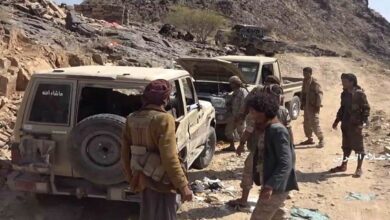 Yemen’s army liberates 3,200 square kilometers of land from Saudi-backed mercs
