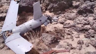 Yemeni forces shoot down another US-made ScanEagle reconnaissance drone