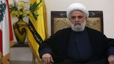 Hezbollah Resistance Will Persist regardless of Opponents’ Yelling: Sheikh Qassem