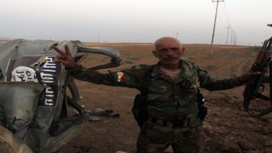 Iraqi airstrikes kill 9 ISIS terrorist remnants
