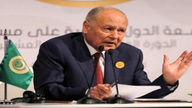 Israel-Palestine conflict resolution key to peace, stability in ME Arab League