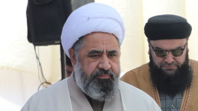 Some Arab countries and the State institutions are facilitating Shia Genocide in Pakistan, Allama Shaheedi